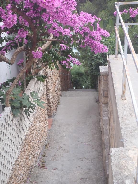 Apartments Villa Stari Koko Omiš Exteriér fotografie